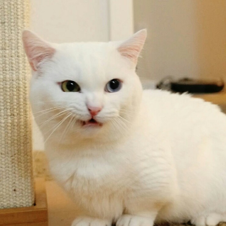 gxgn 프로필