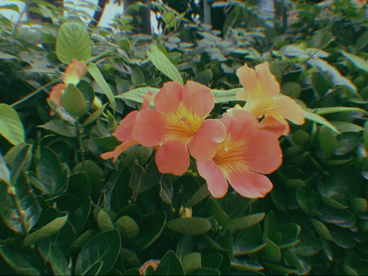 리뷰어 프로필
