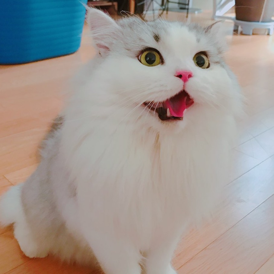 luvuuuuu 프로필