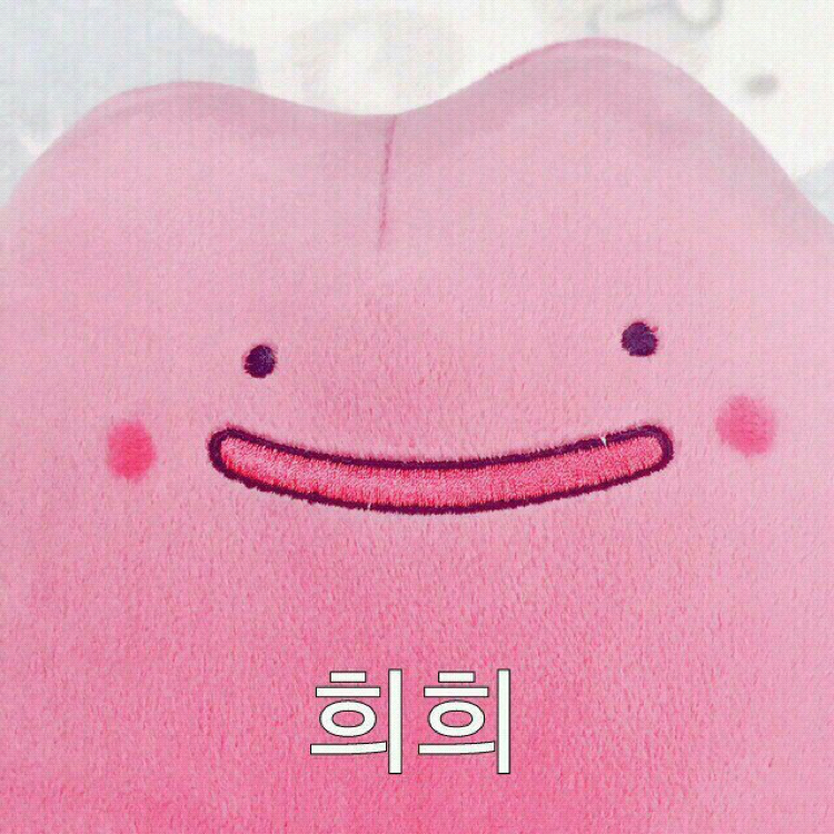 뇨로롱뇽뇽이 프로필