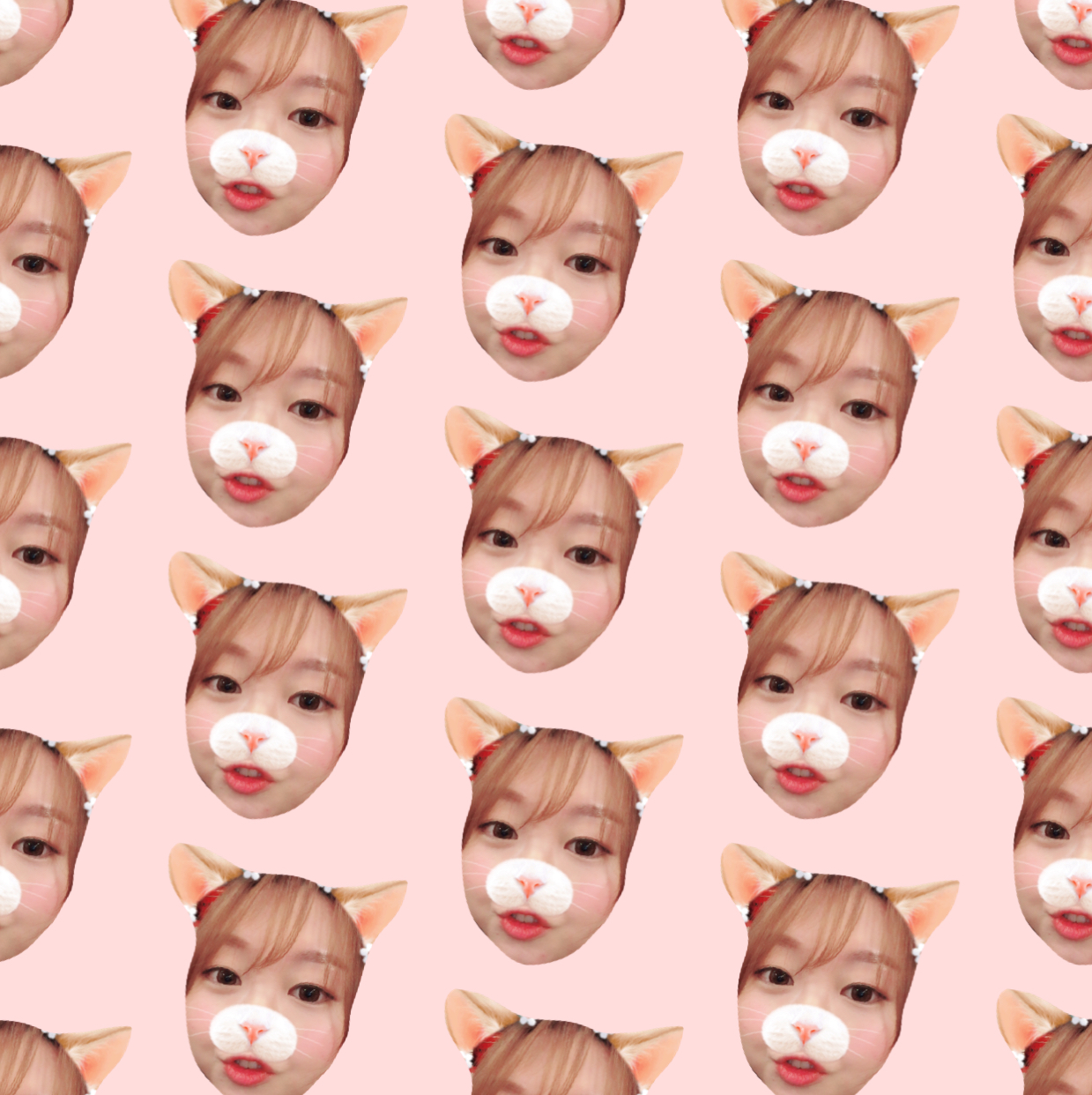 yejicoco 프로필