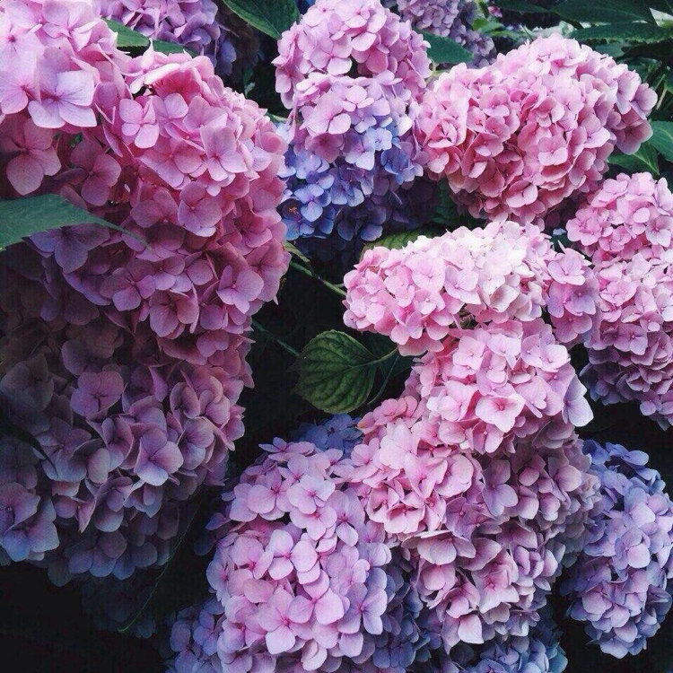 micci97 프로필