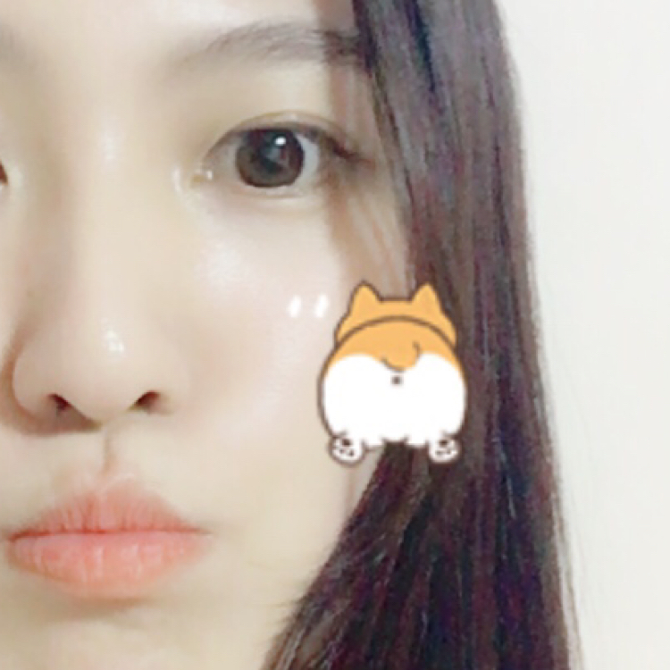 롤롤롤 프로필