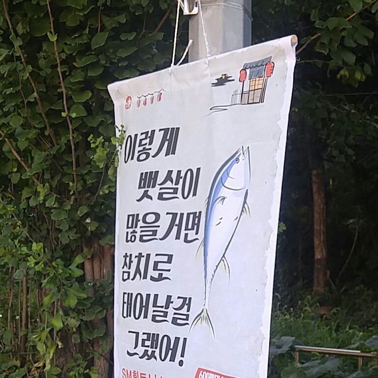 픽픽픽미업 프로필