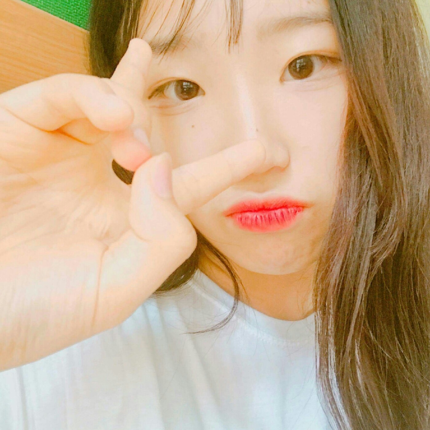 뭉망잉 프로필