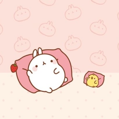 려나나 프로필