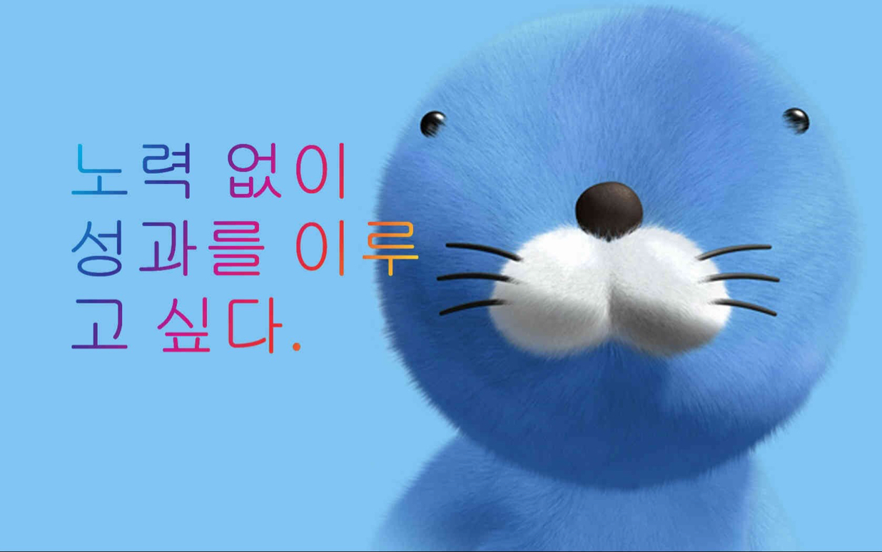 shubillion 프로필