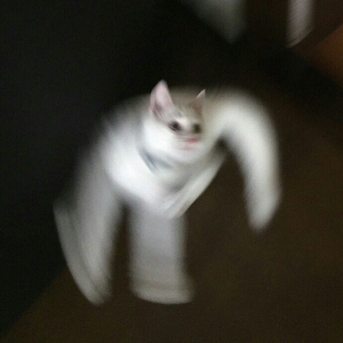 가나안 프로필