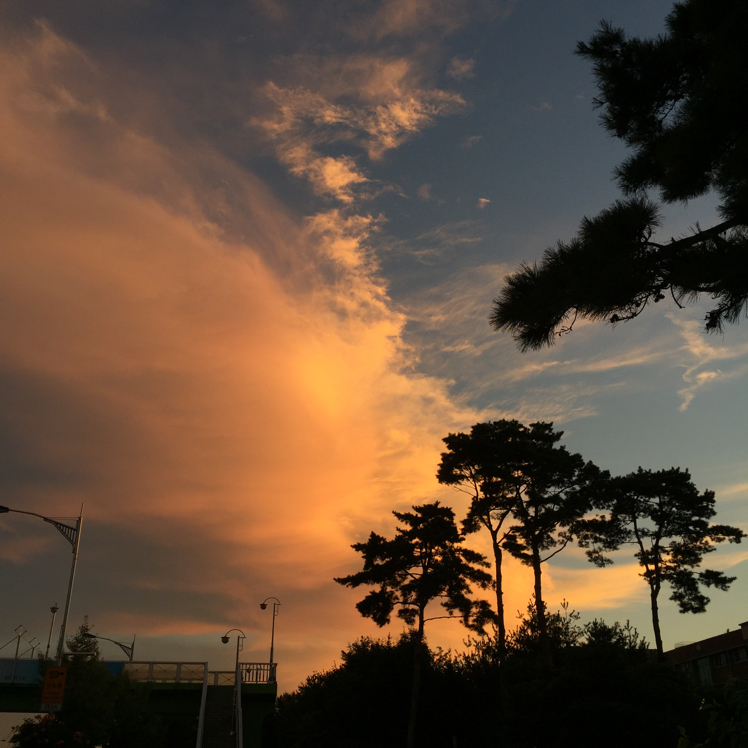 베베베ㅔ벱 프로필