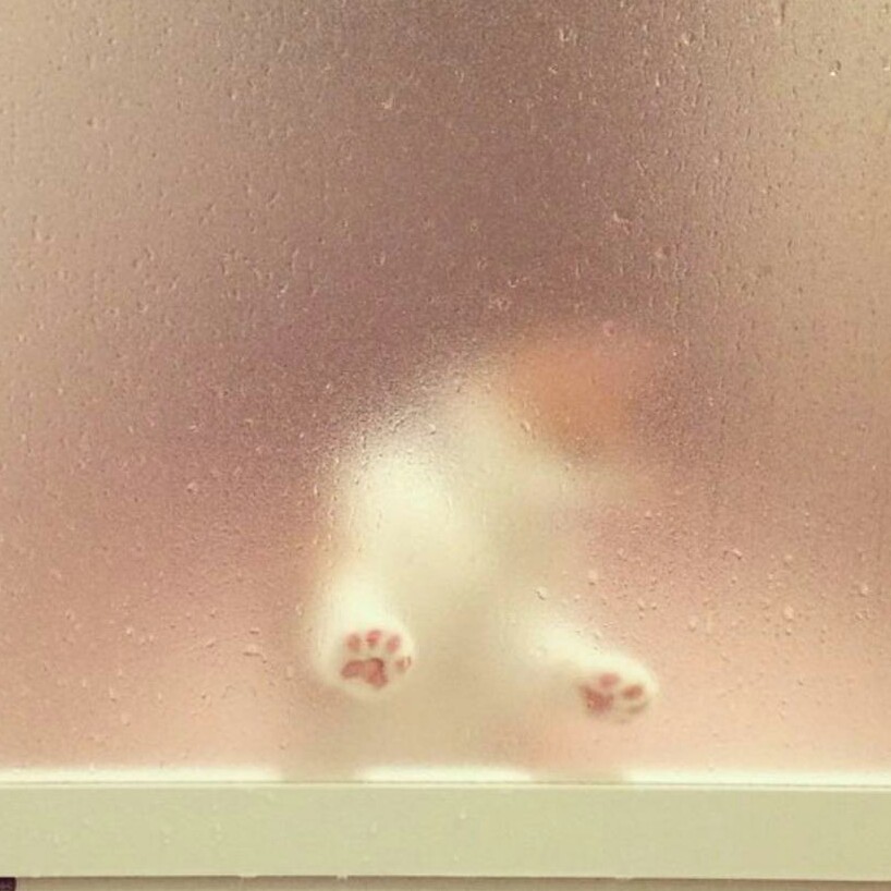 ukJ 프로필