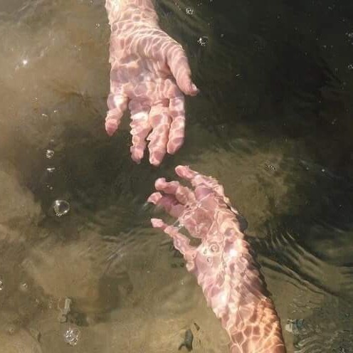 프픞 프로필