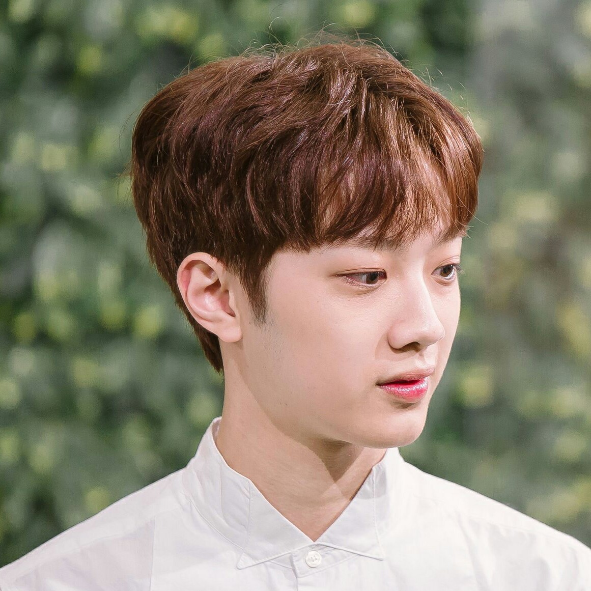 장마속에서 프로필