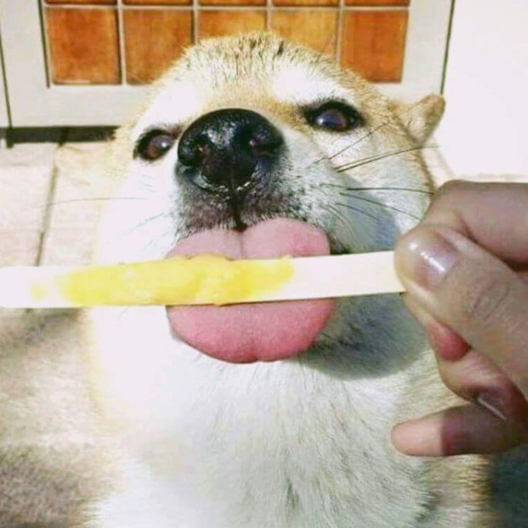 체크반바지 프로필
