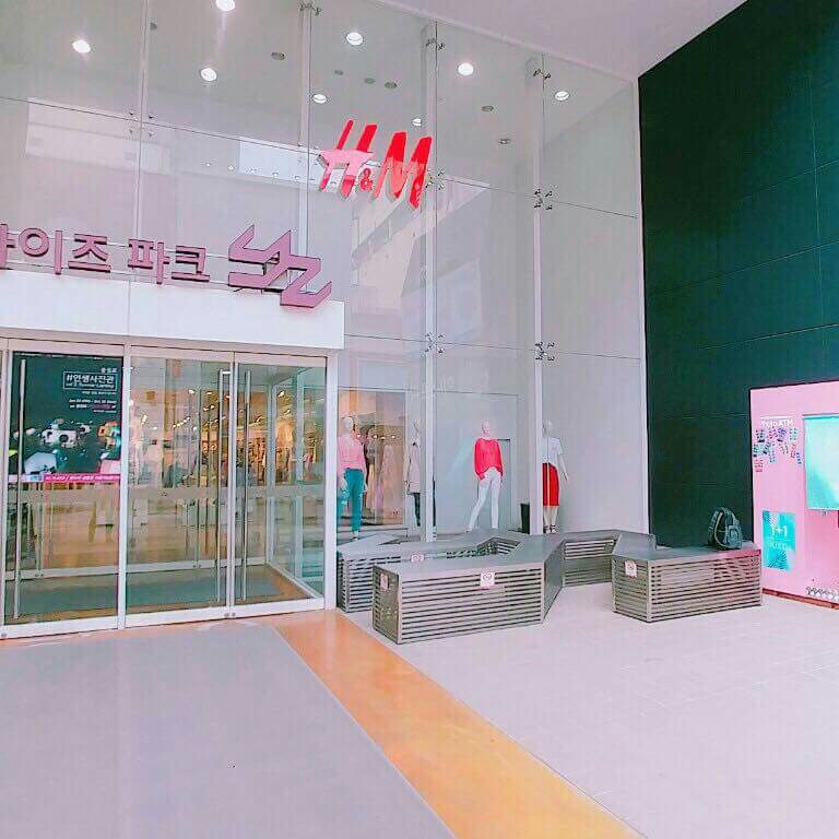모찌와수짱 프로필