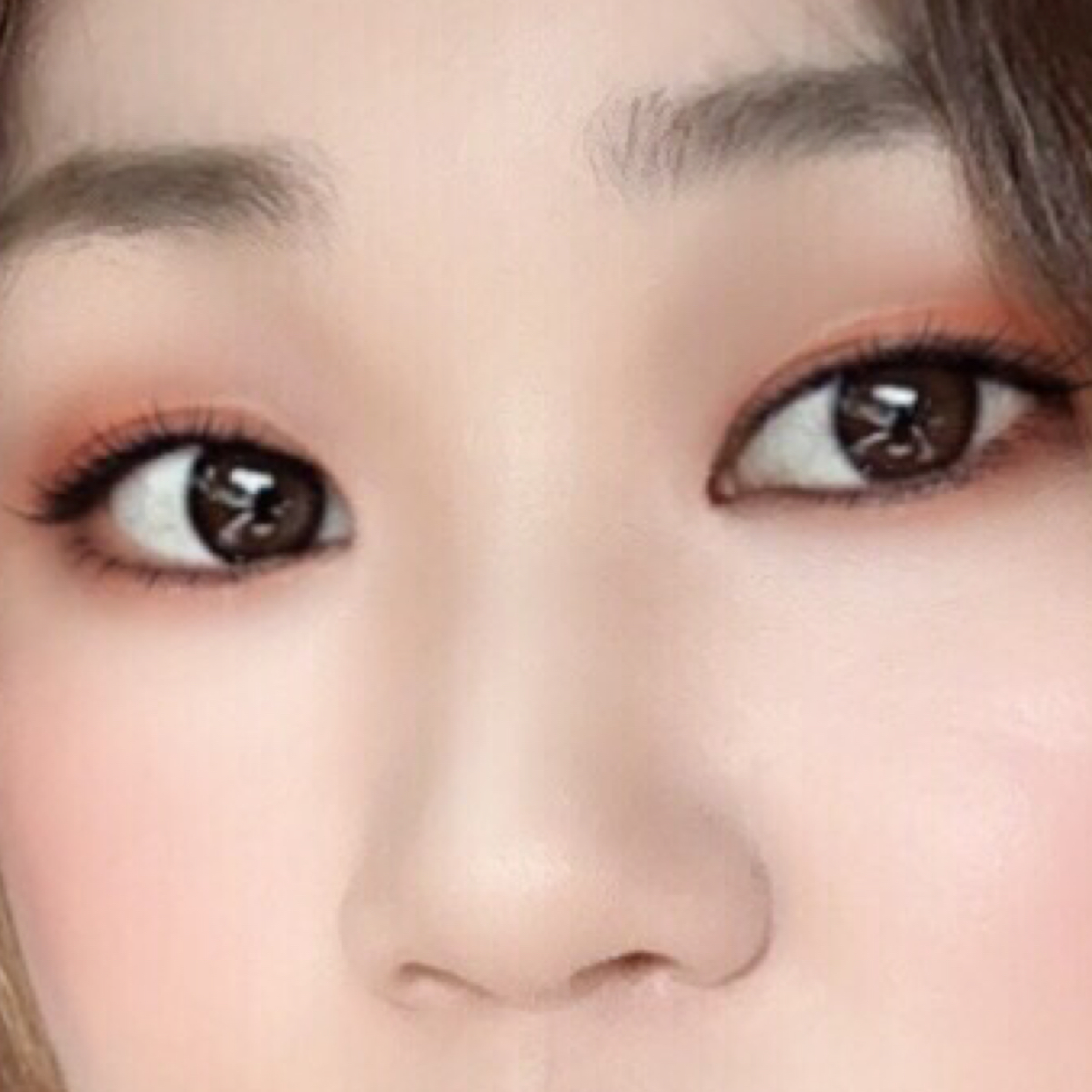 겔룽 프로필