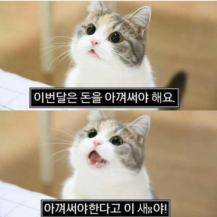 jm2177 프로필