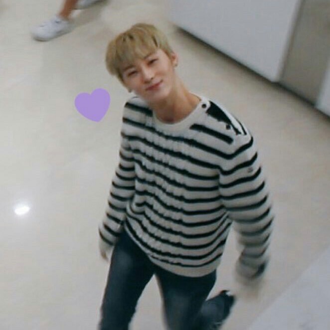 요를레이요호 프로필