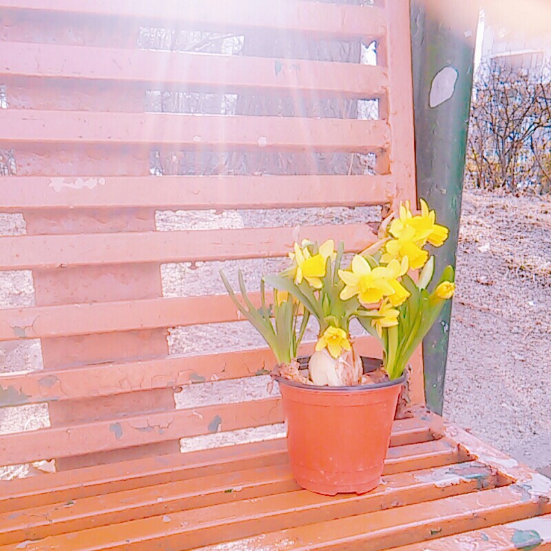 돌고래상 프로필