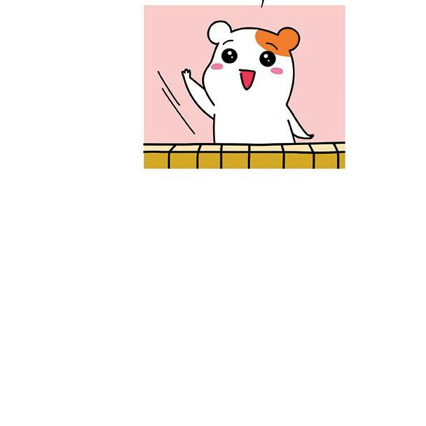 손효석 프로필