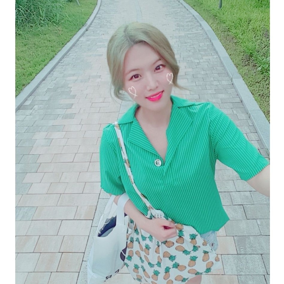 육식동물 프로필