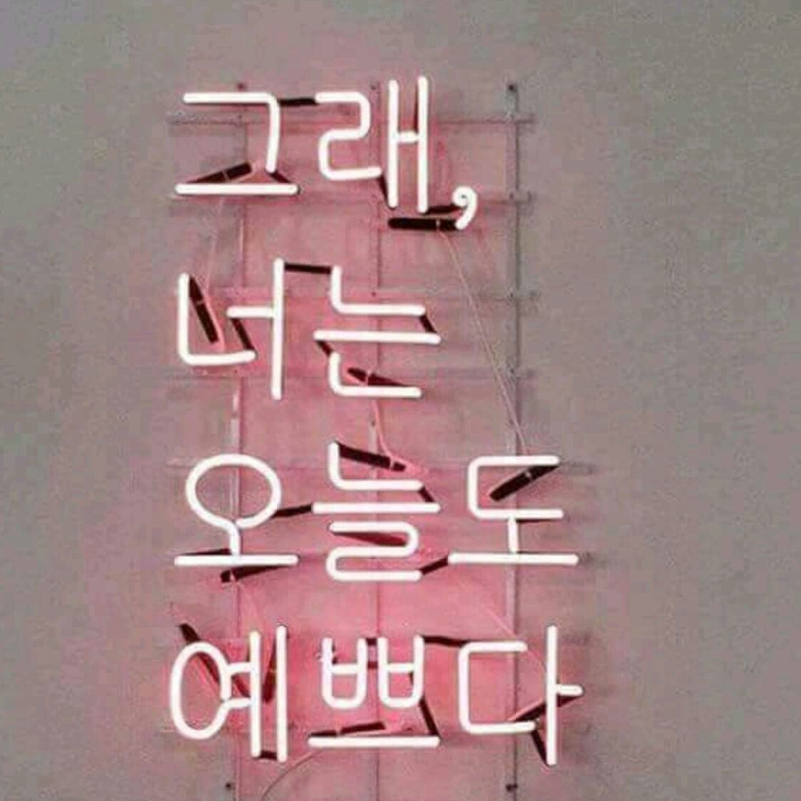 pitta0816 프로필