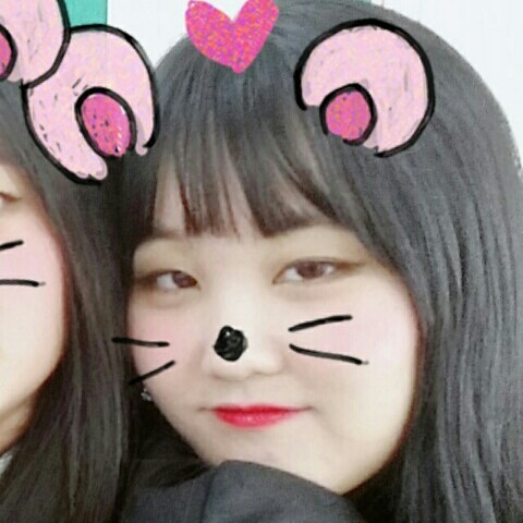 문도박사 프로필