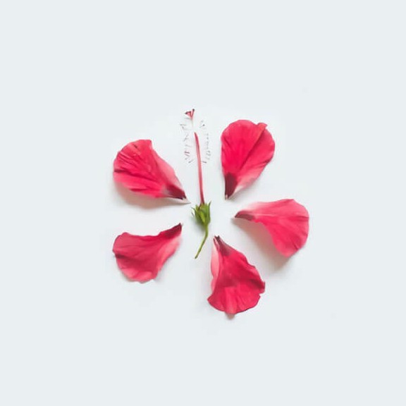 95youl 프로필