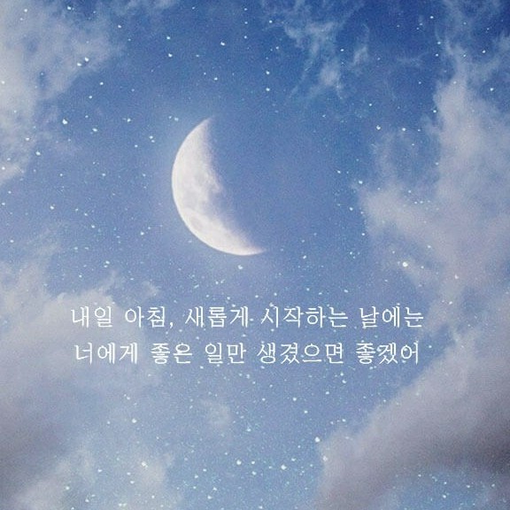 초코초코룬 프로필