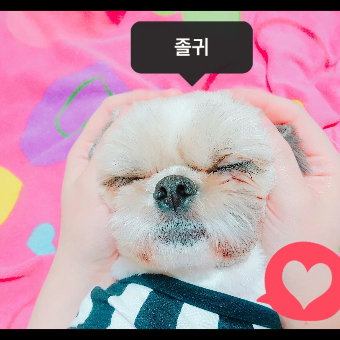 진222 프로필