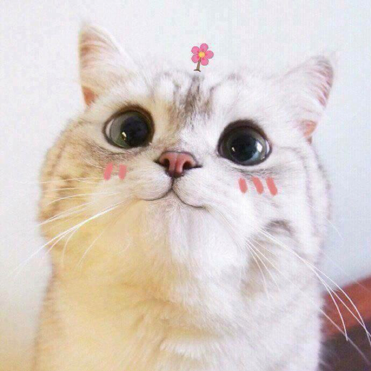 hava413 프로필