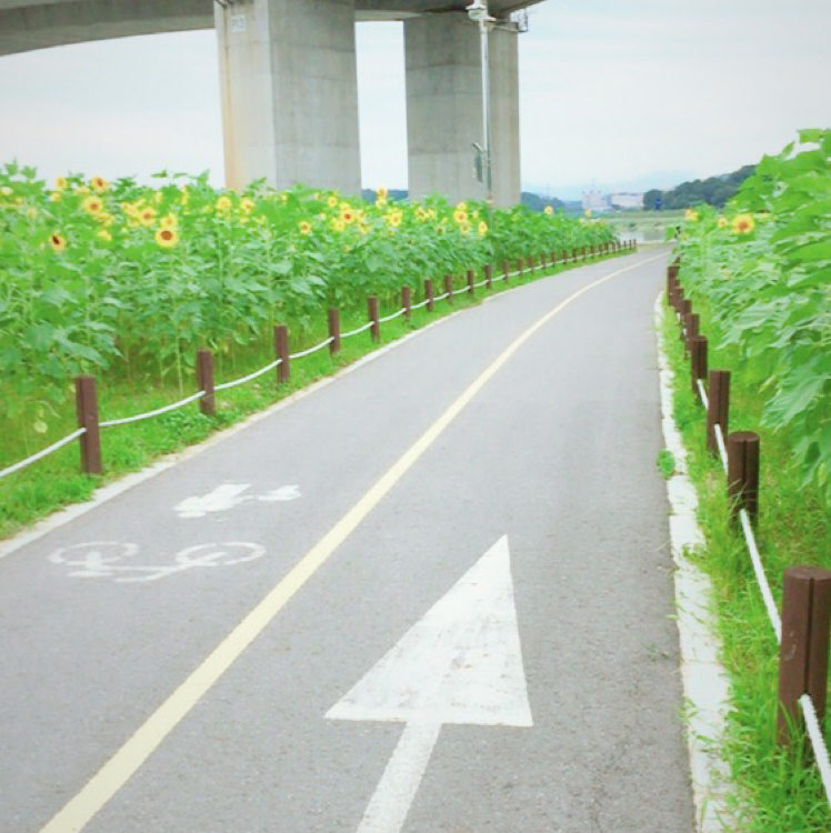 장미88 프로필