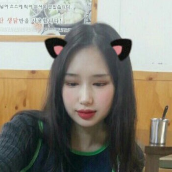 soniacat 프로필