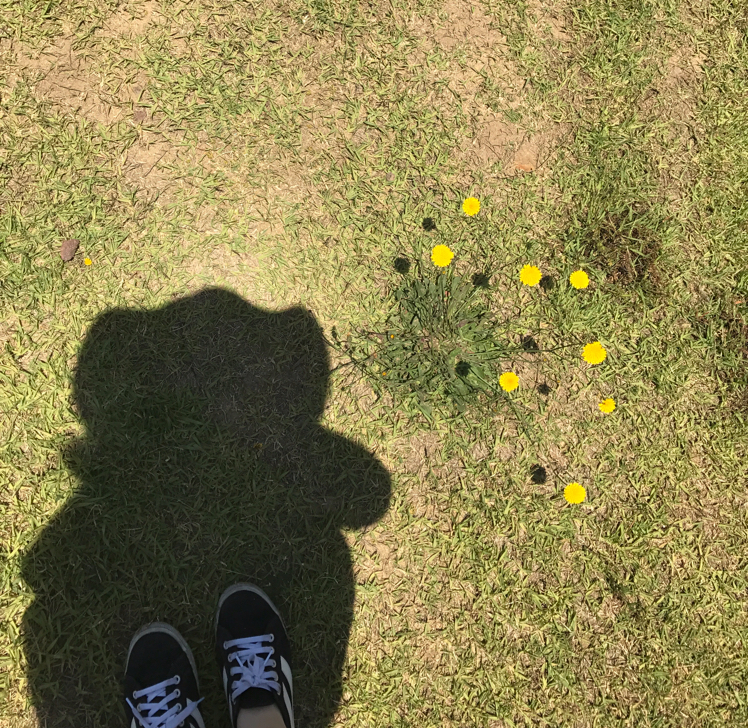 리뷰어 프로필