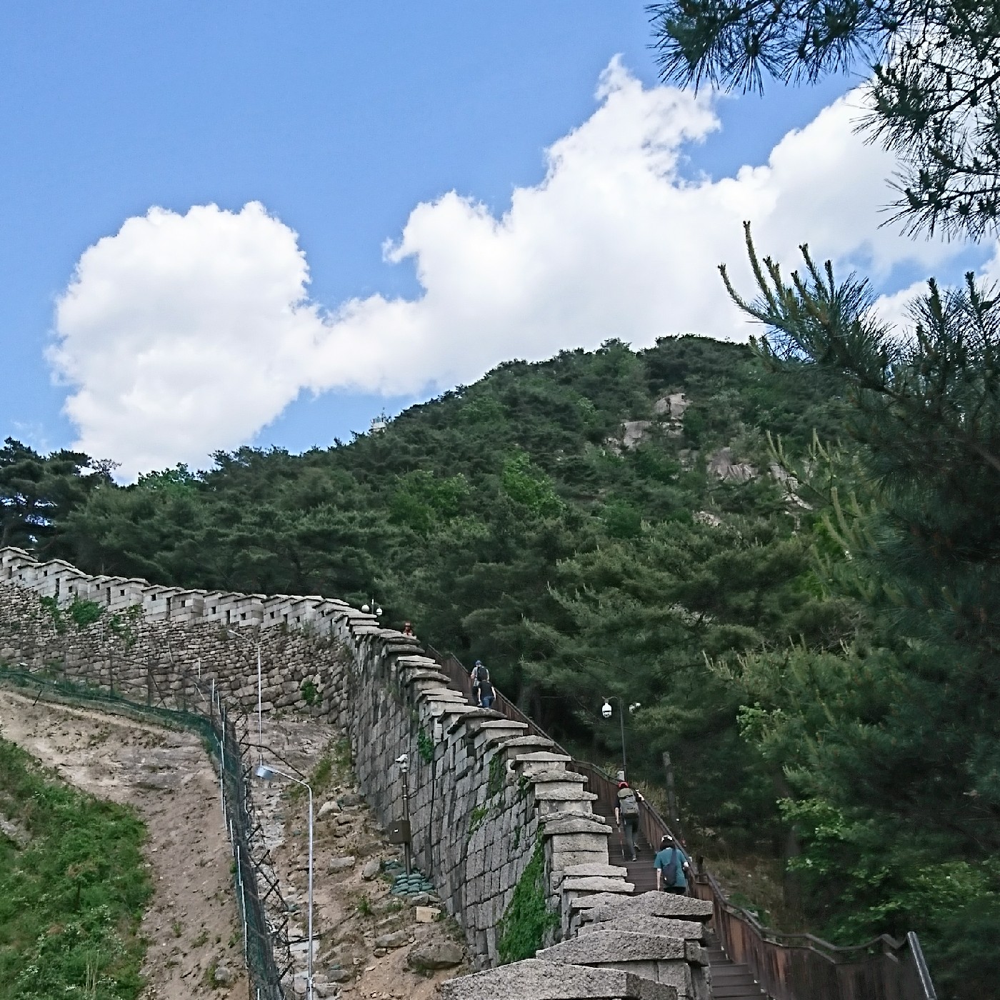 배고플때 프로필