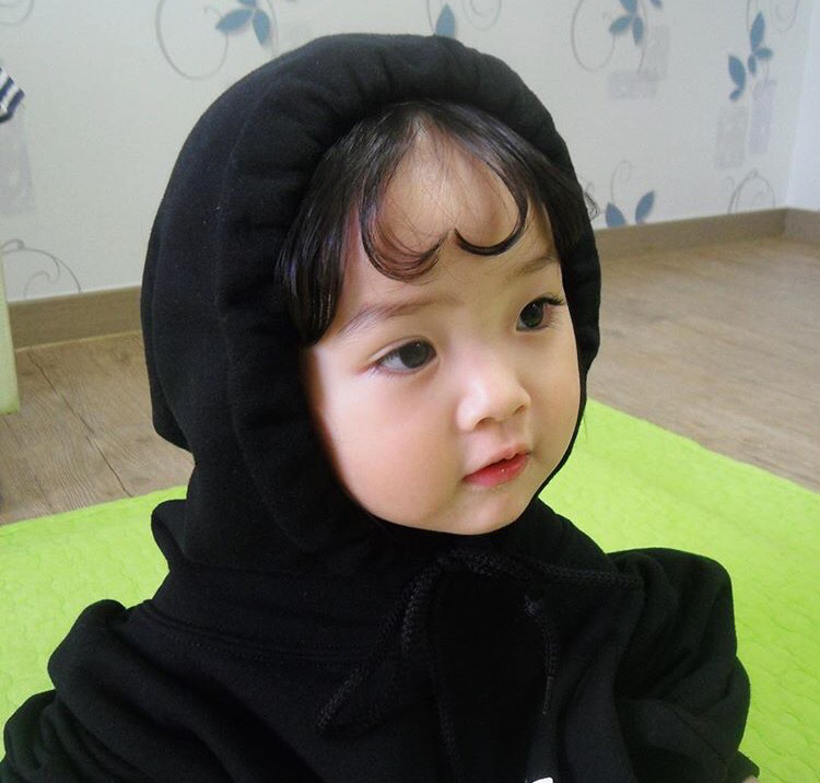 뿌엘 프로필