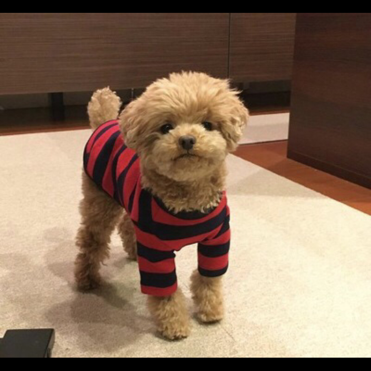 강여 프로필