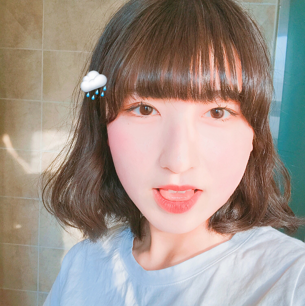 호머심순 프로필