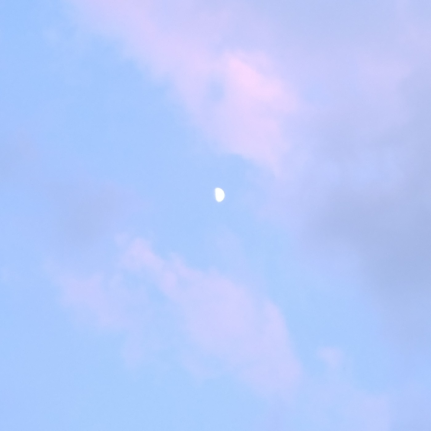 엘지우승 프로필
