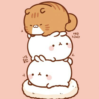 몰랑한몰랑2 프로필