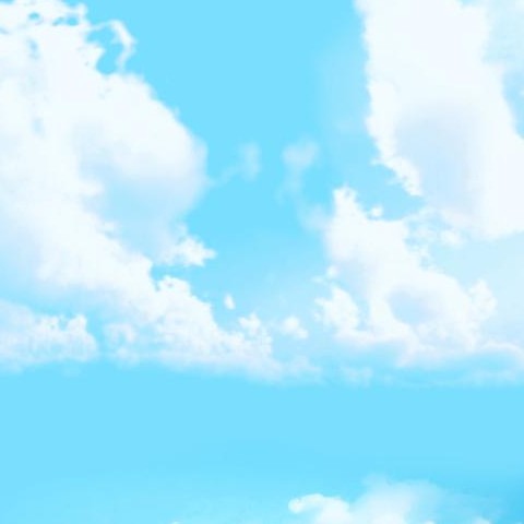 liiie 프로필