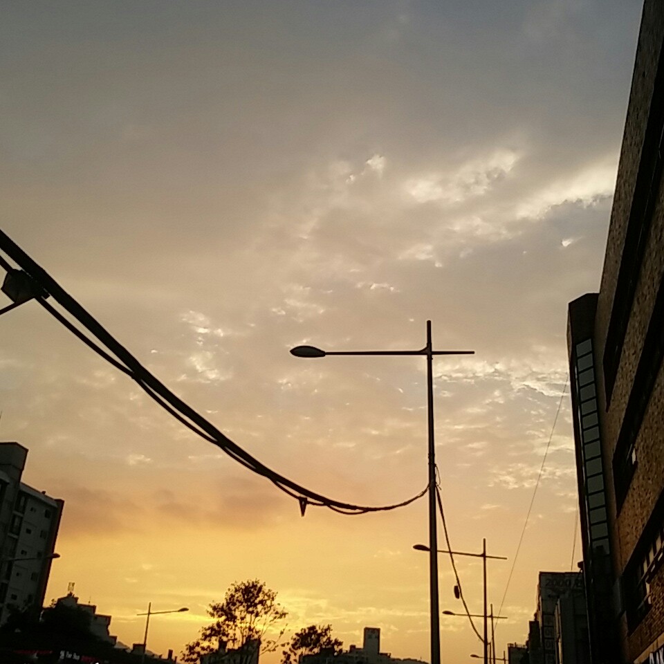 은행꽃 프로필
