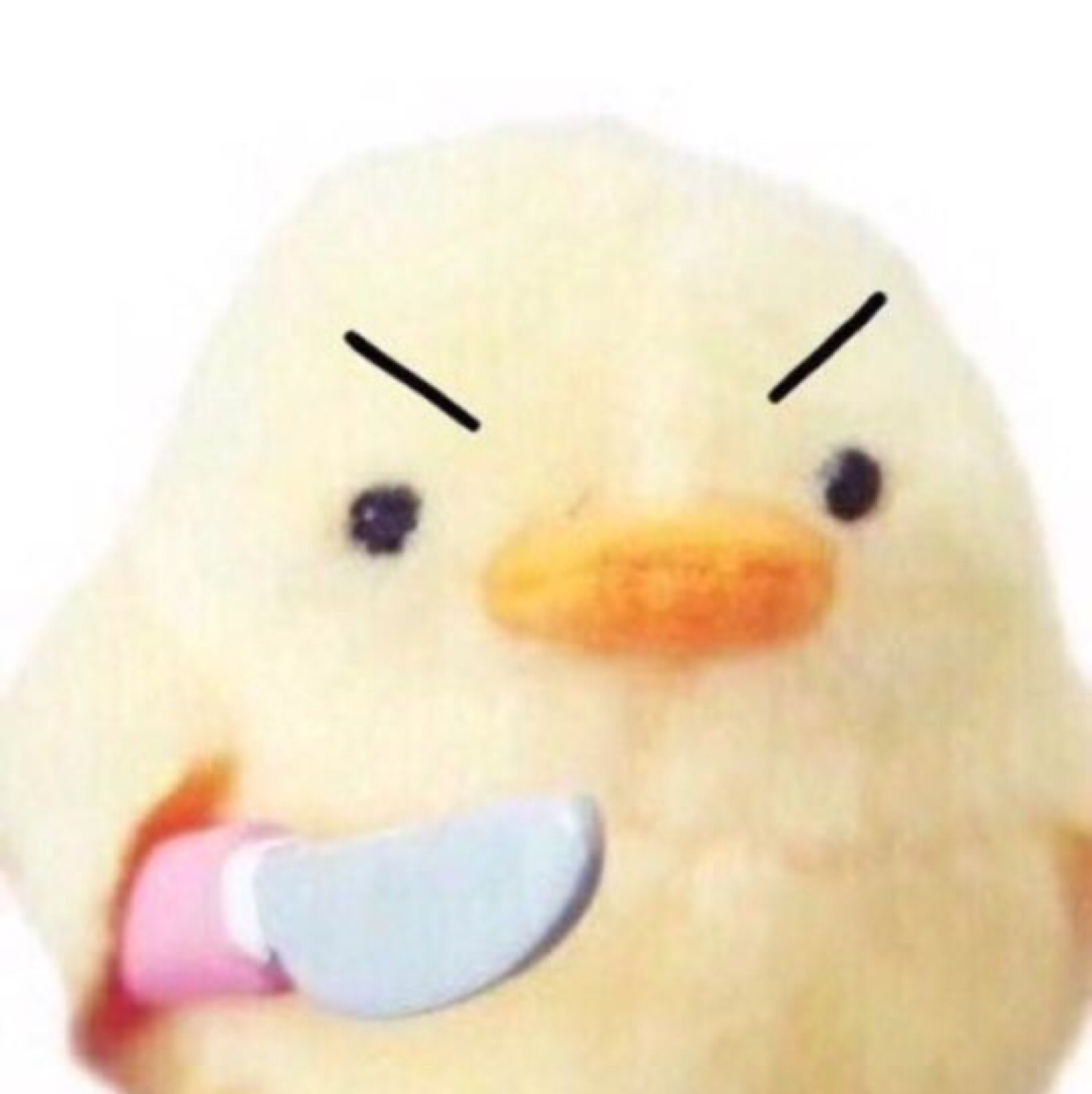 뽀뽀마미 프로필