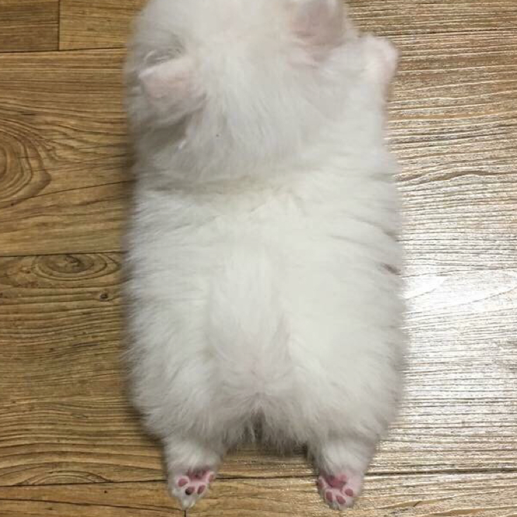 eeeeeeeem 프로필