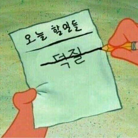 당뉴 프로필
