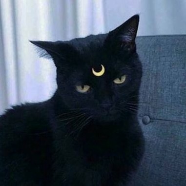 투명한피부되고싶댜 프로필