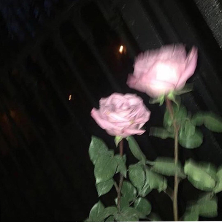 gmlwjd6485 프로필
