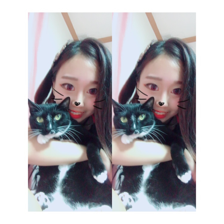 규종이언니 프로필