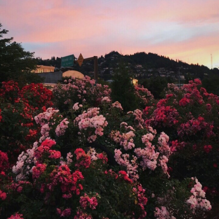yoooooonn 프로필