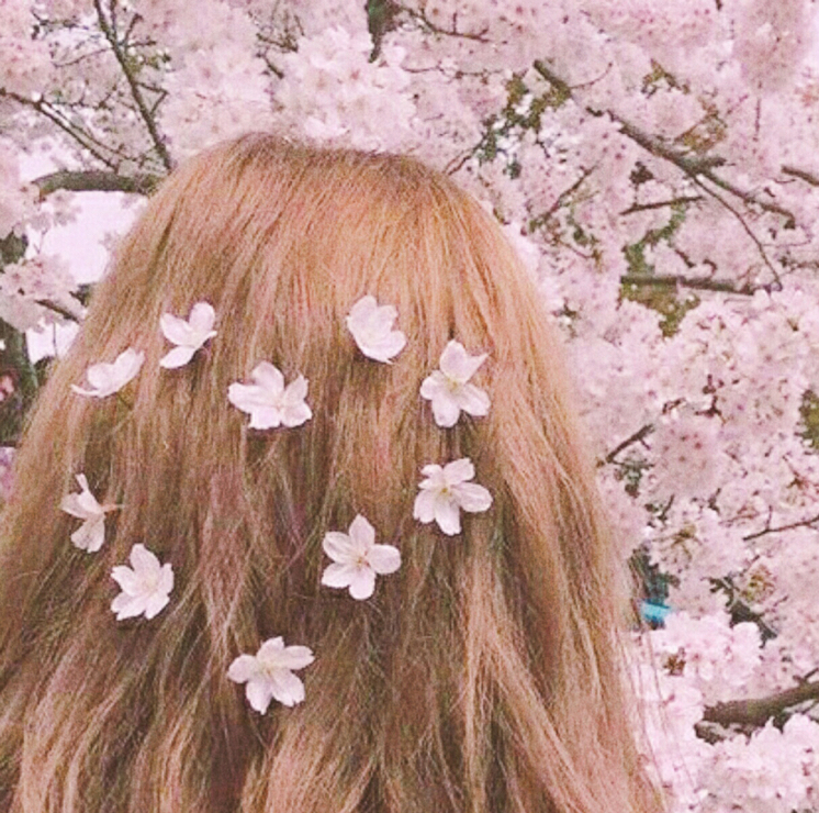 Wizard_ofz 프로필