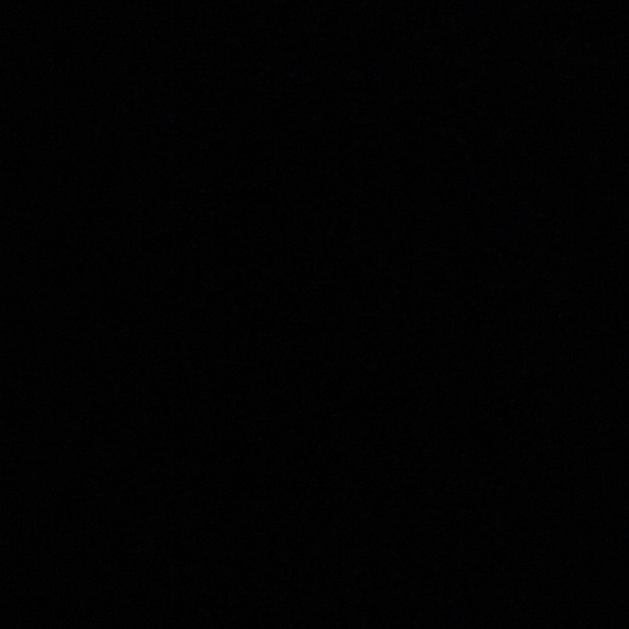 빠셍 프로필